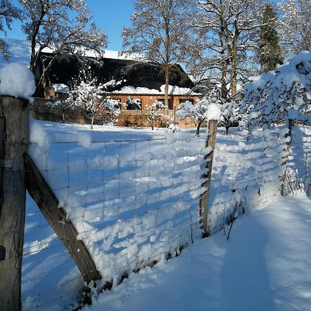 Gite spacieux et cosy à la campagne proche de Strasbourg Achenheim Extérieur photo