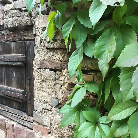 Gite spacieux et cosy à la campagne proche de Strasbourg Achenheim Extérieur photo