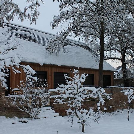 Gite spacieux et cosy à la campagne proche de Strasbourg Achenheim Extérieur photo