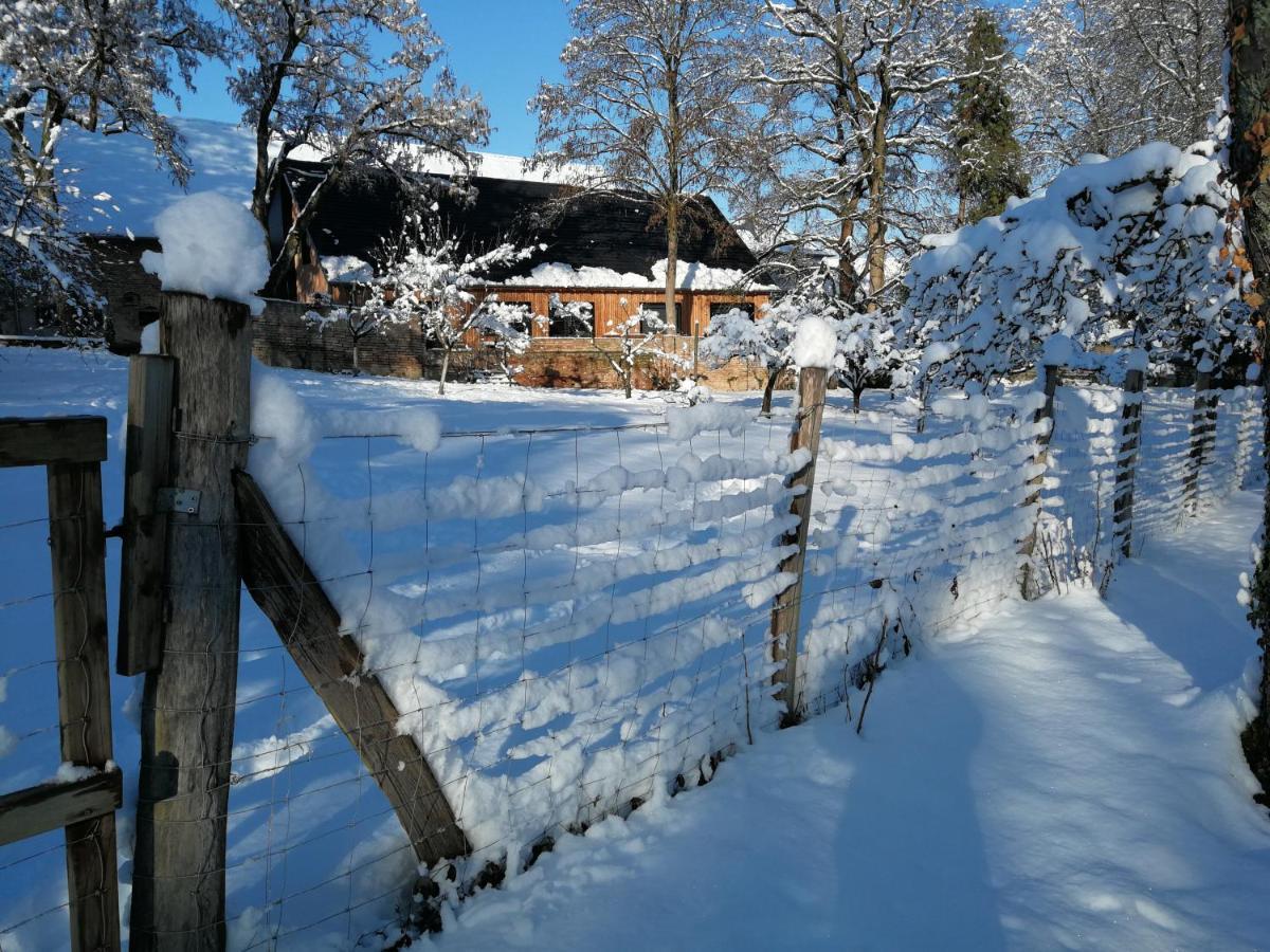 Gite spacieux et cosy à la campagne proche de Strasbourg Achenheim Extérieur photo