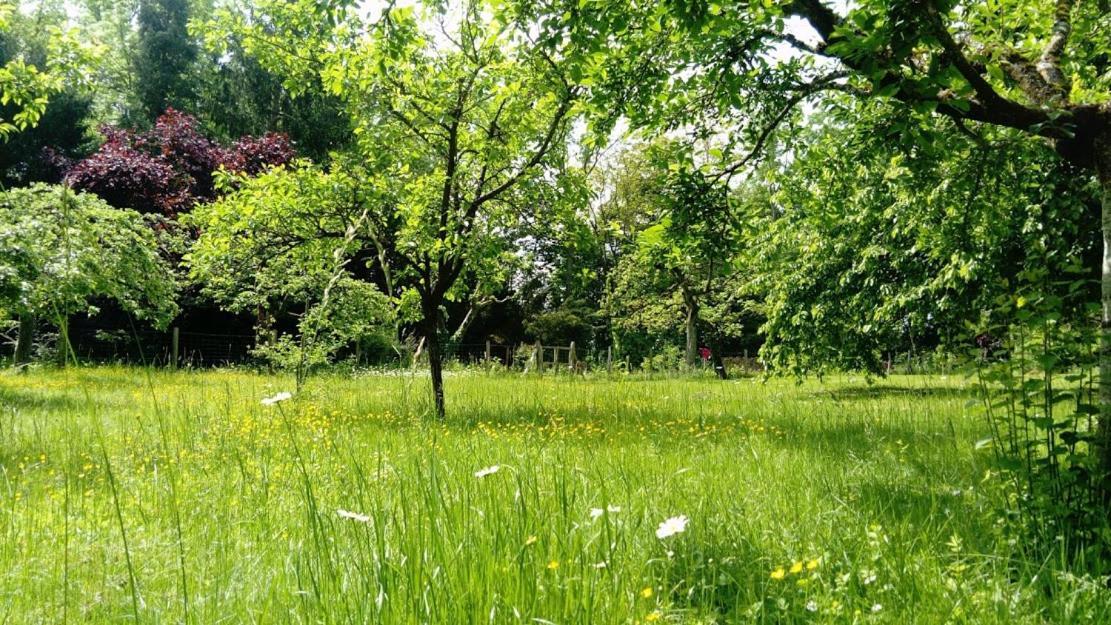 Gite spacieux et cosy à la campagne proche de Strasbourg Achenheim Extérieur photo