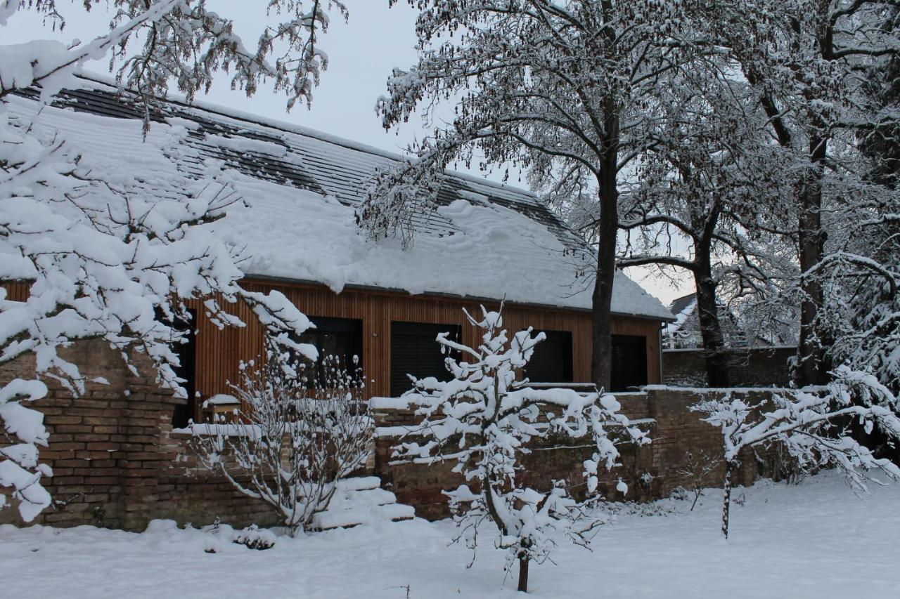 Gite spacieux et cosy à la campagne proche de Strasbourg Achenheim Extérieur photo